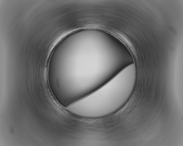 X0000113261340200909101242