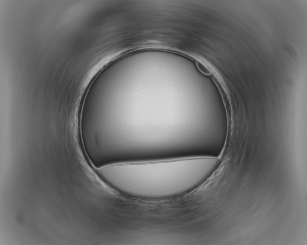X0000113261341200909101242