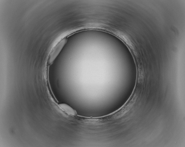 X0000113261342200909101242