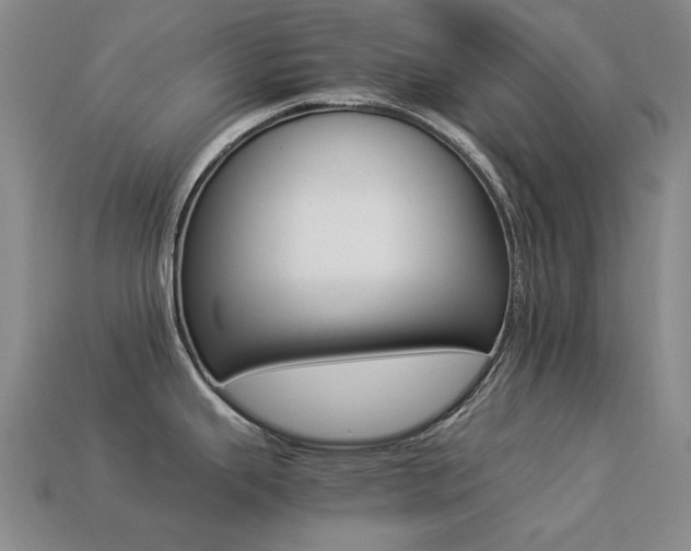 X0000113261343200909101242