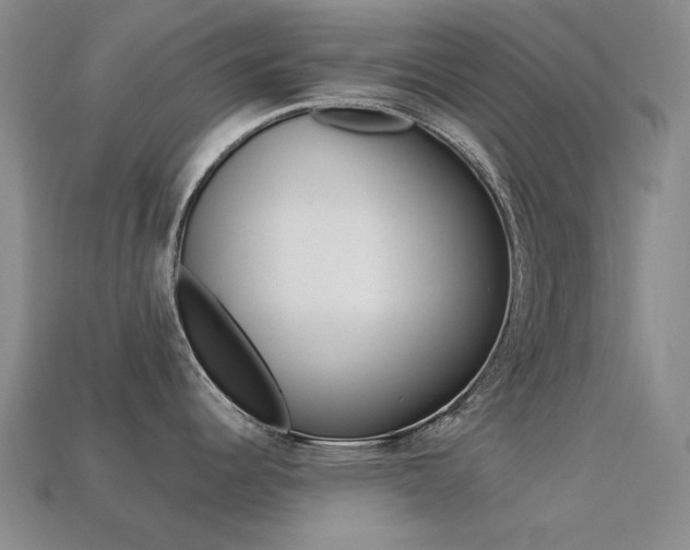 X0000113261344200909101242