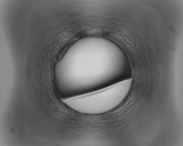 X0000113261345200909101241