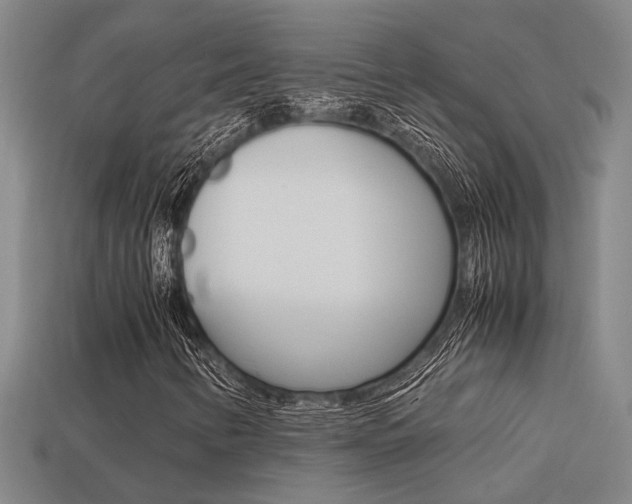 X0000113261346200909101241