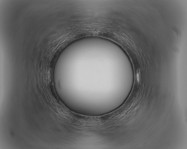 X0000113261347200909101241