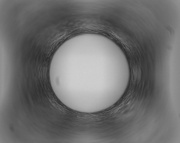 X0000113261348200909101241