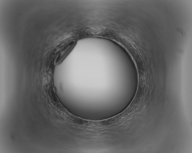 X0000113261349200909101241