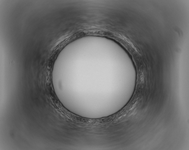 X0000113261350200909101241