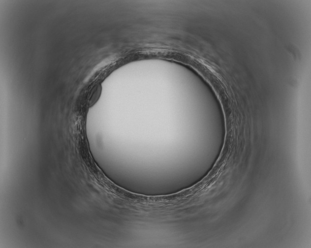 X0000113261351200909101241