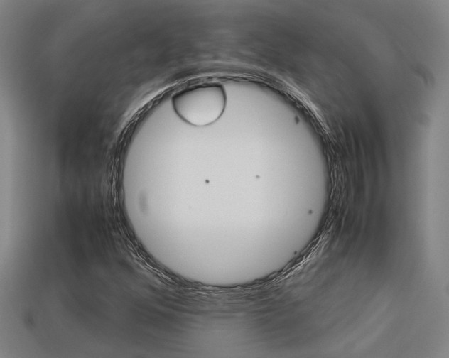 X0000113261352200909101241
