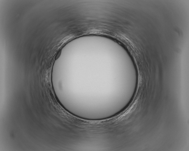 X0000113261353200909101241