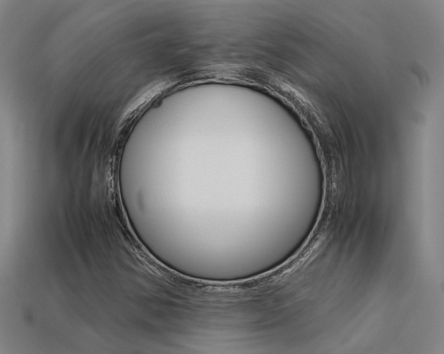 X0000113261354200909101241