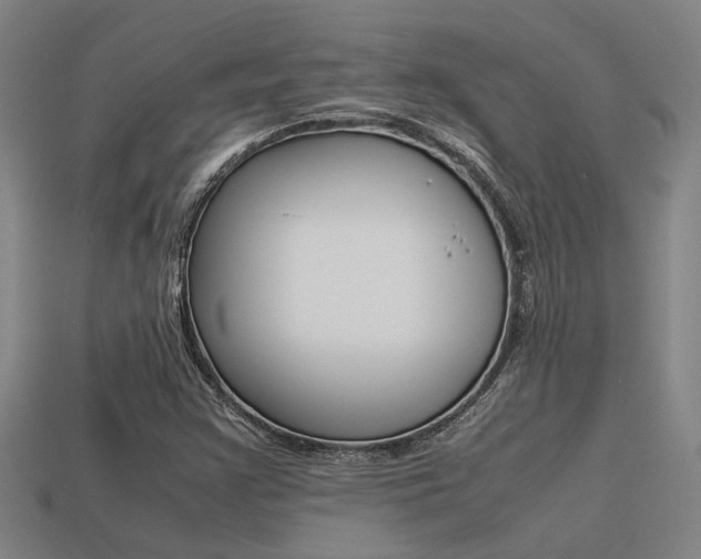 X0000113261355200909101241