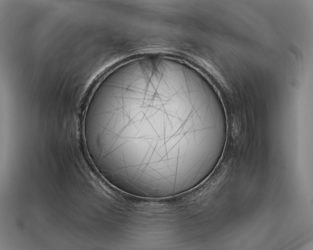 X0000113261356200909101241