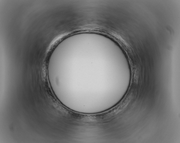 X0000113261358200909101241