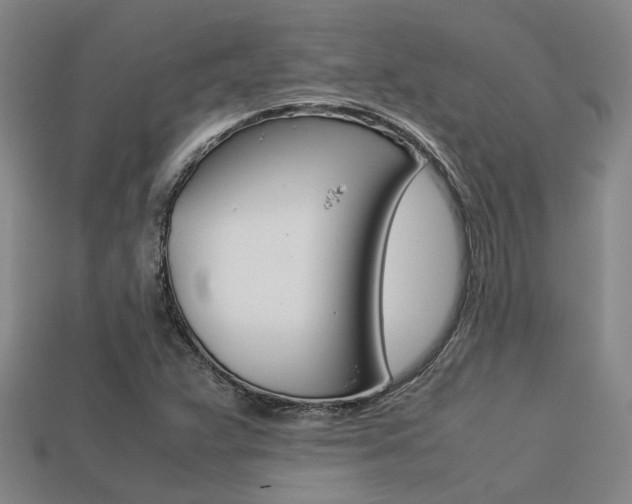 X0000113261359200909101241