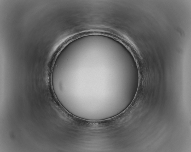 X0000113261360200909101241