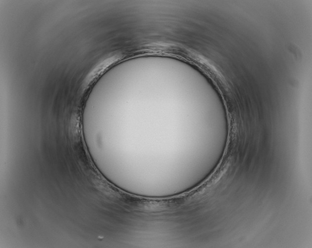 X0000113261362200909101241