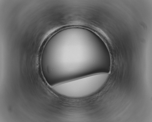 X0000113261364200909101241