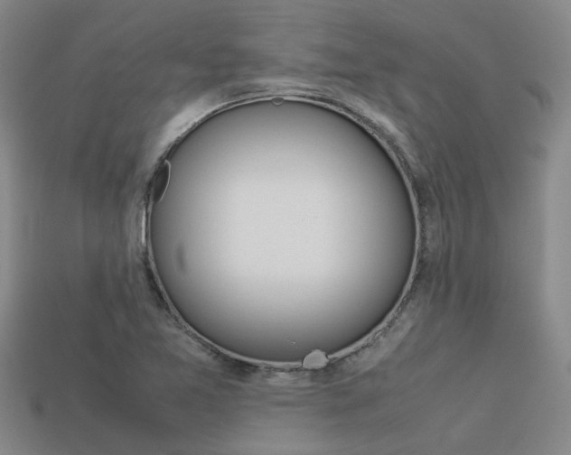 X0000113261365200909101241