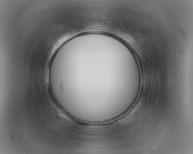 X0000113261366200909101241