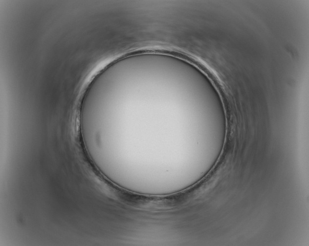 X0000113261367200909101241
