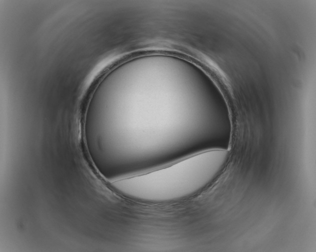 X0000113261368200909101241