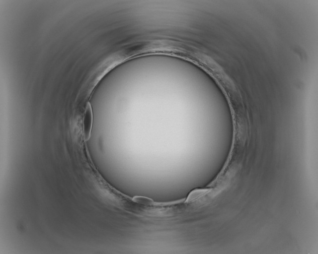 X0000113261369200909101241