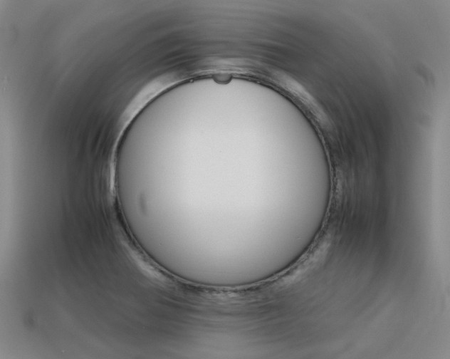 X0000113261370200909101241