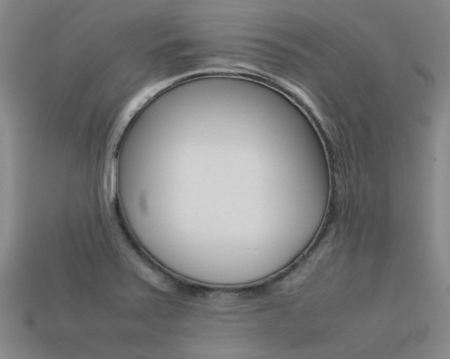 X0000113261371200909101241