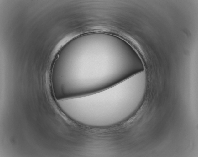 X0000113261373200909101241