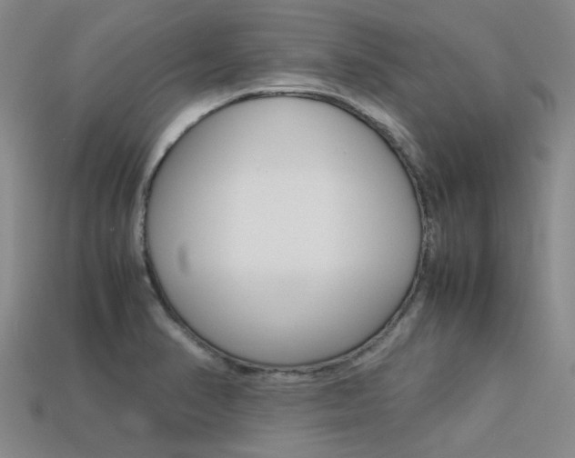 X0000113261374200909101241