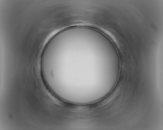 X0000113261375200909101241
