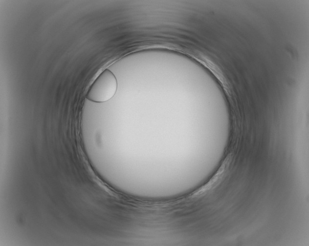 X0000113261377200909101241