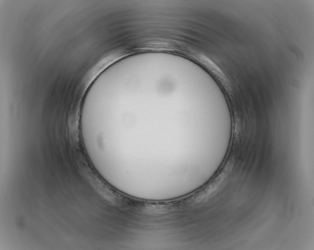 X0000113261378200909101241