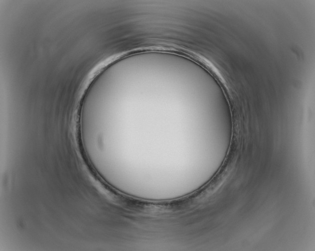 X0000113261379200909101241