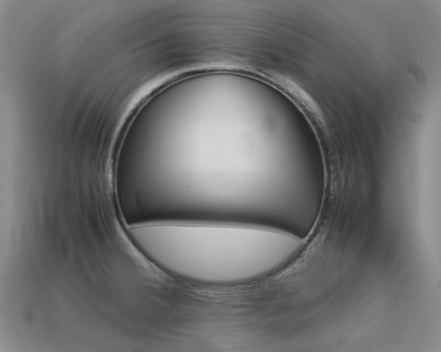 X0000113261380200909101241