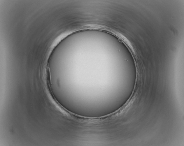 X0000113261381200909101241