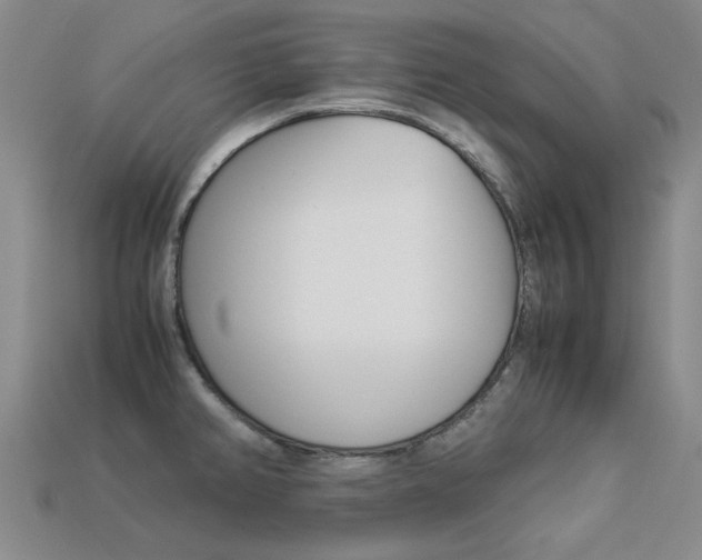 X0000113261382200909101241