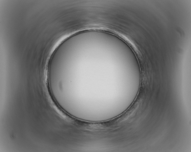 X0000113261383200909101241