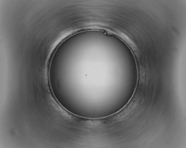 X0000113261384200909101241