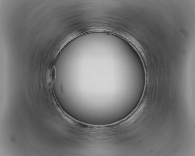 X0000113261385200909101241