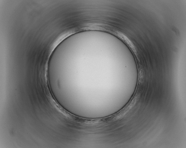 X0000113261386200909101241