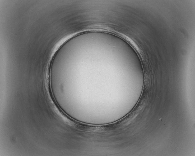 X0000113261387200909101241