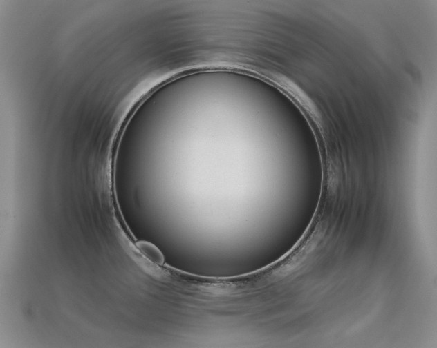 X0000113261388200909101241