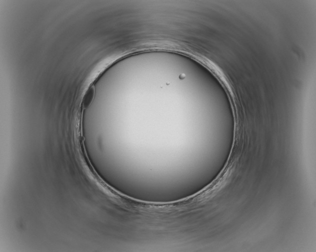 X0000113261389200909101241