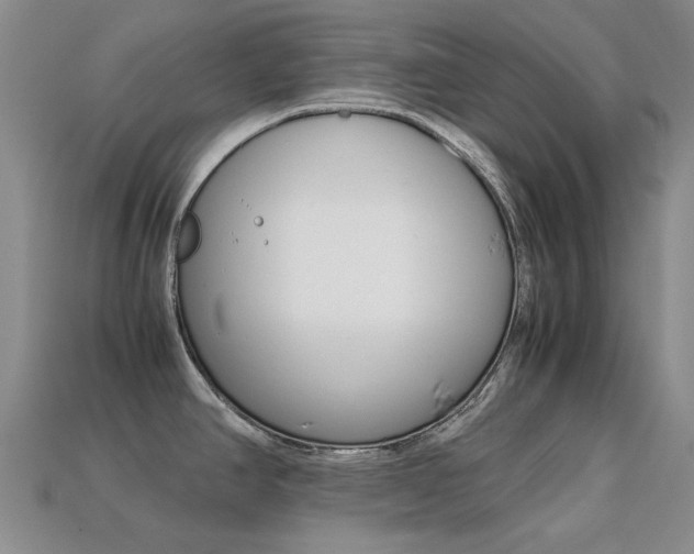 X0000113261390200909101241