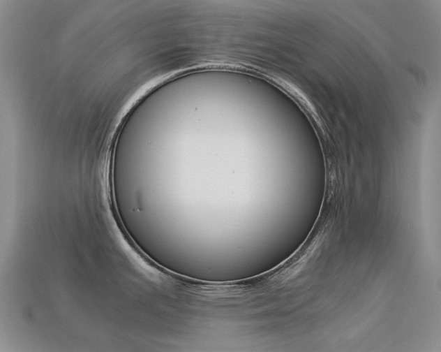 X0000113261391200909101241