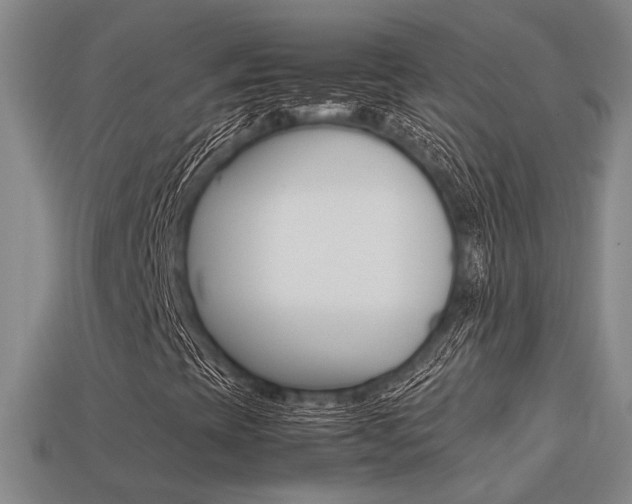 X0000113261393200909101240