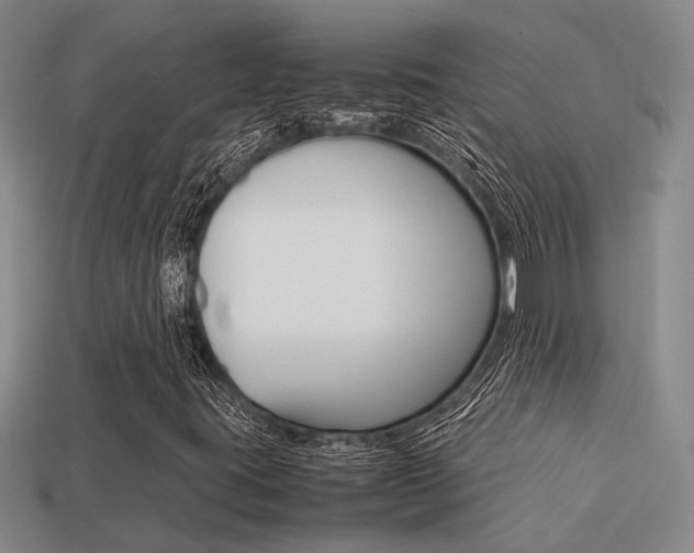 X0000113261395200909101240
