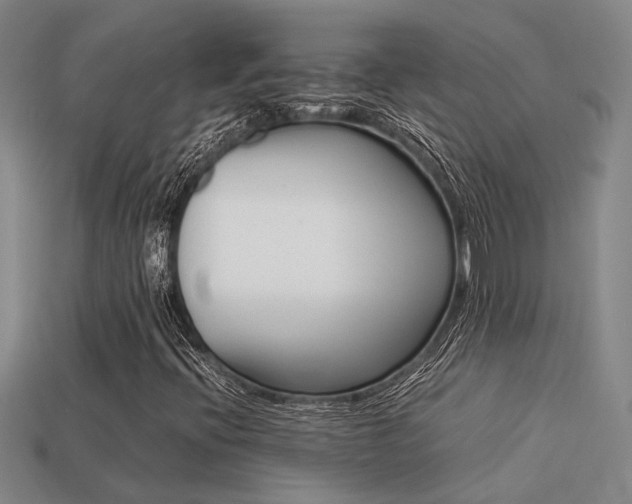 X0000113261396200909101240